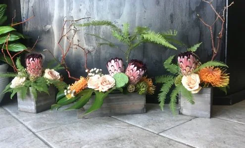 Wild Rose Floral & Gifts business photo