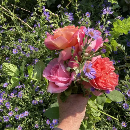Wynnie's Flower Farm, business photo 3